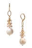 Brianna Long Earring - Ivory Shell